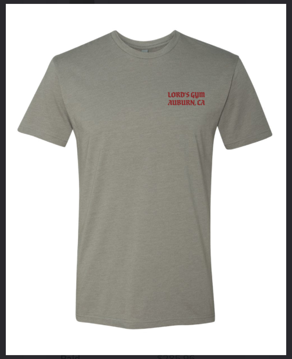 Iron Sharpens Iron T shirt